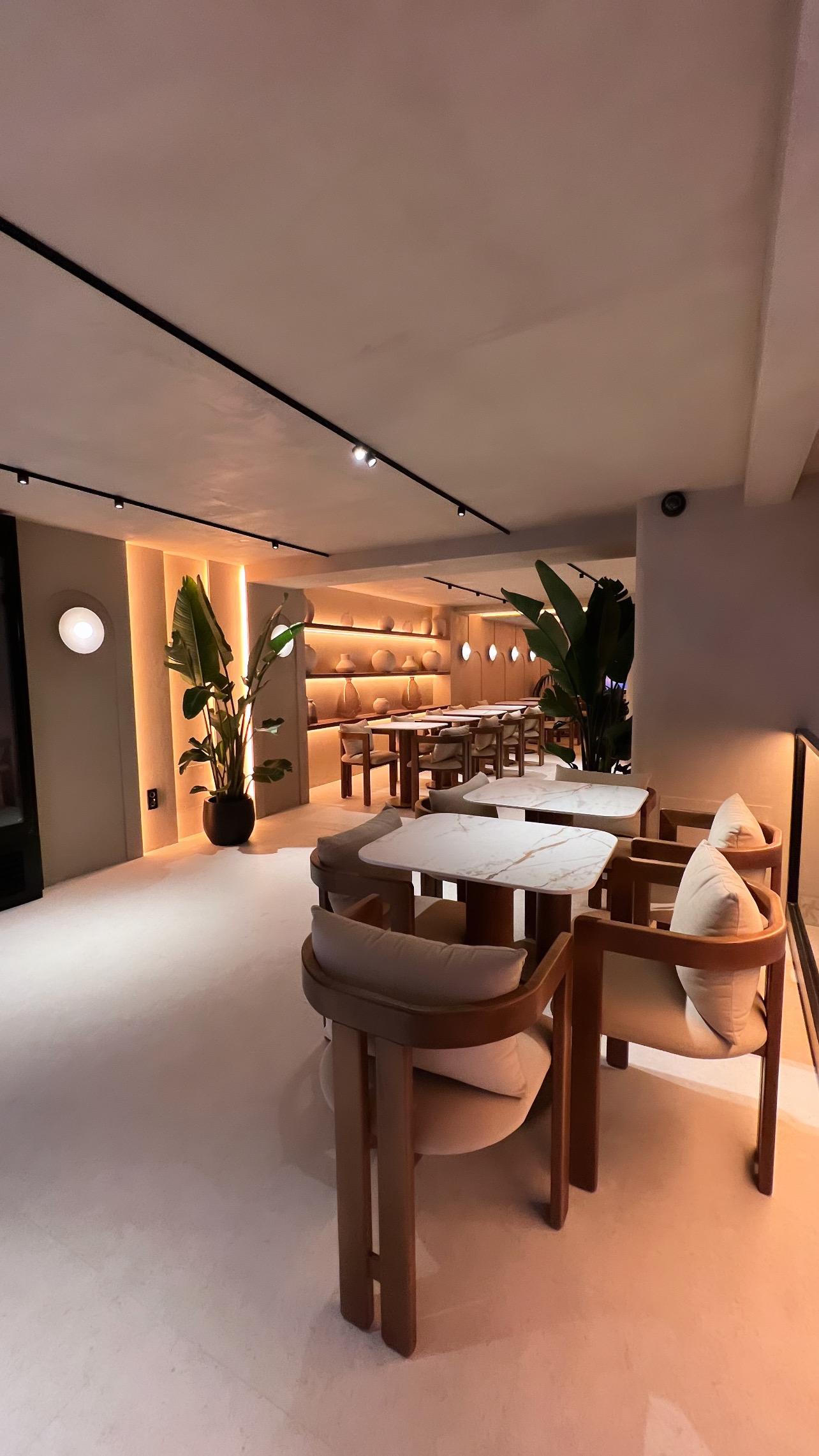 Sala con plantas de gran porte, estantería de cerámicas iluminada al fondo y mesas con sillones de madera